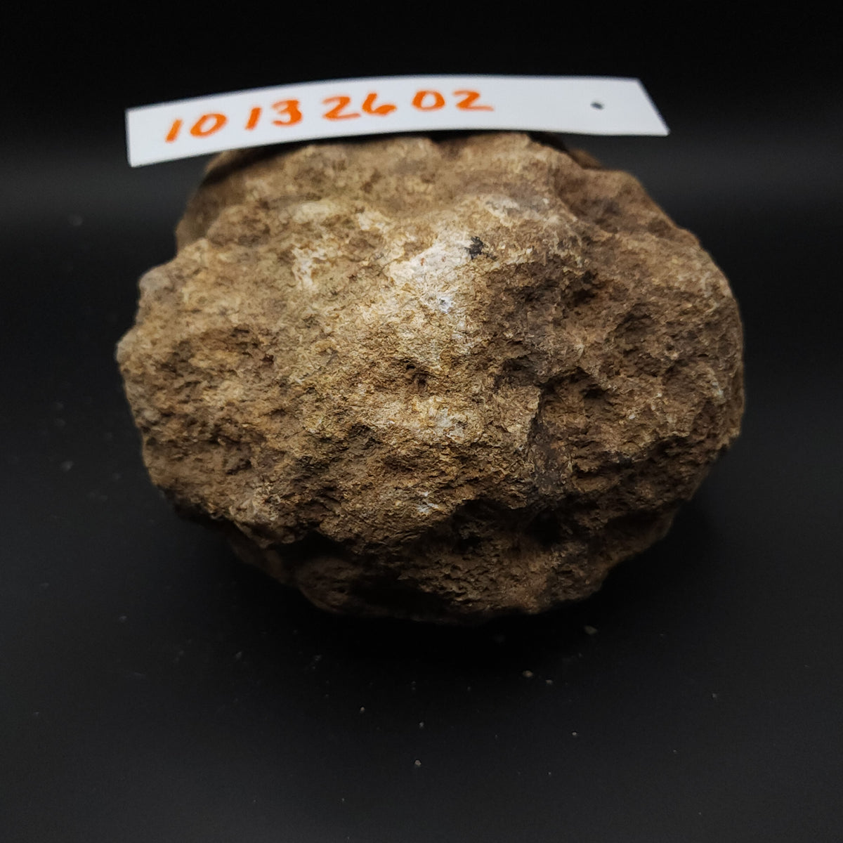 4.60 LB Whole Unopened Kentucky Geode [10-13-26-02]