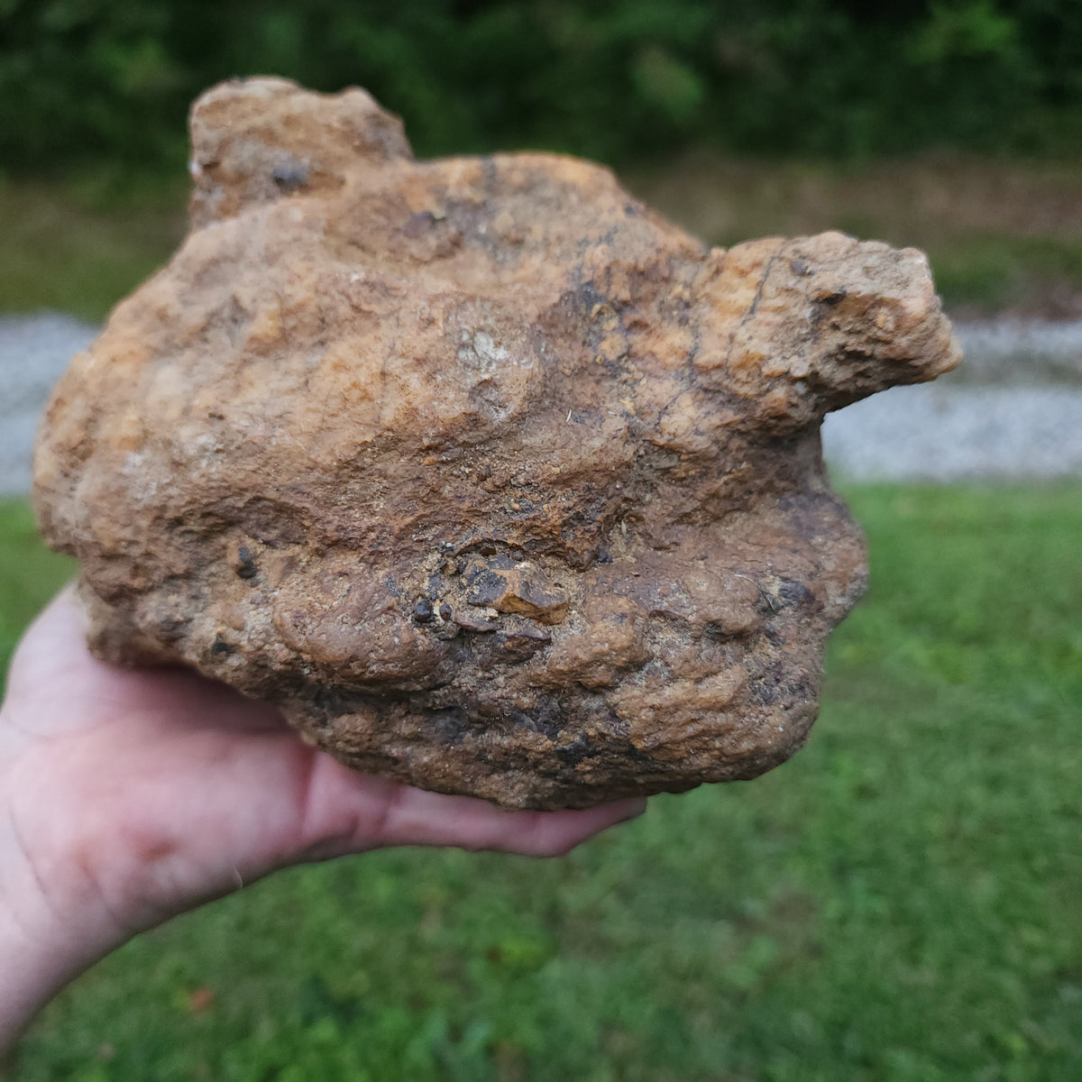 6.74 lb Kentucky Rattler Geode - Large Whole Unopened Hollow Crystals Rock