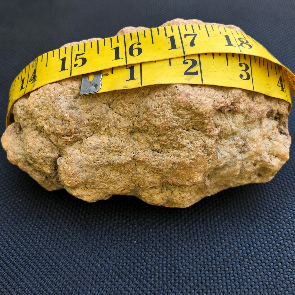 Natural Kentucky Geode  4.88 lb Whole Unopened Exact Specimen