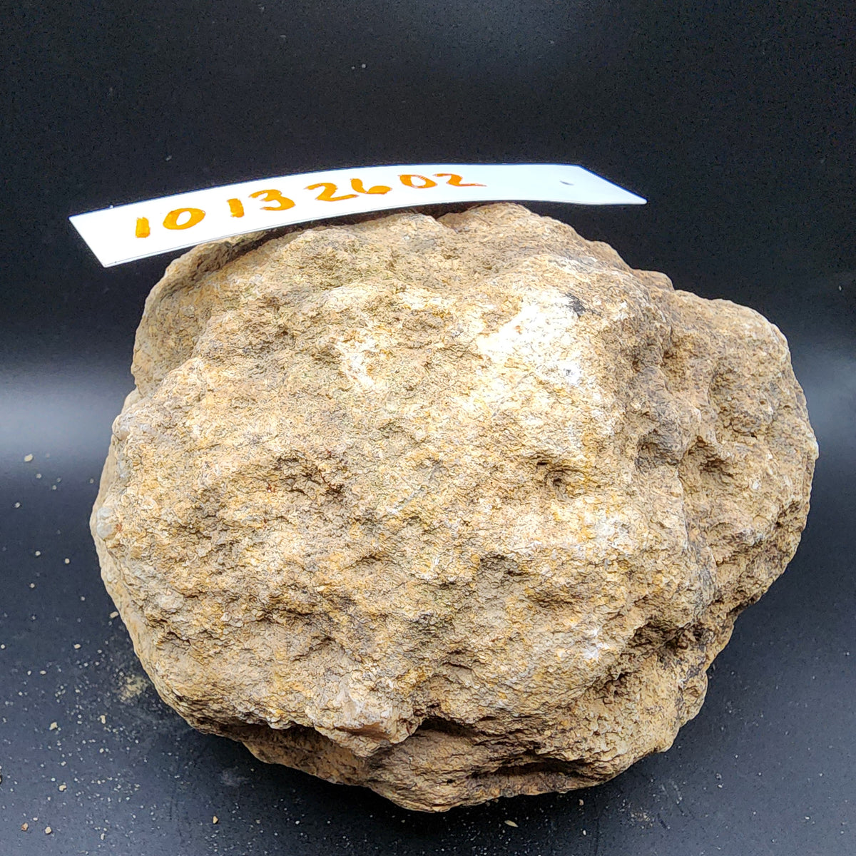 4.60 LB Whole Unopened Kentucky Geode [10-13-26-02]