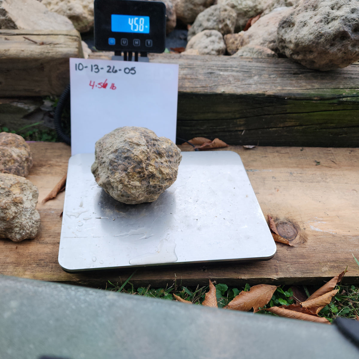 Large Kentucky Geode – Whole Unopened Break Your Own Geode – 4.58 LB [10-13-26-05]
