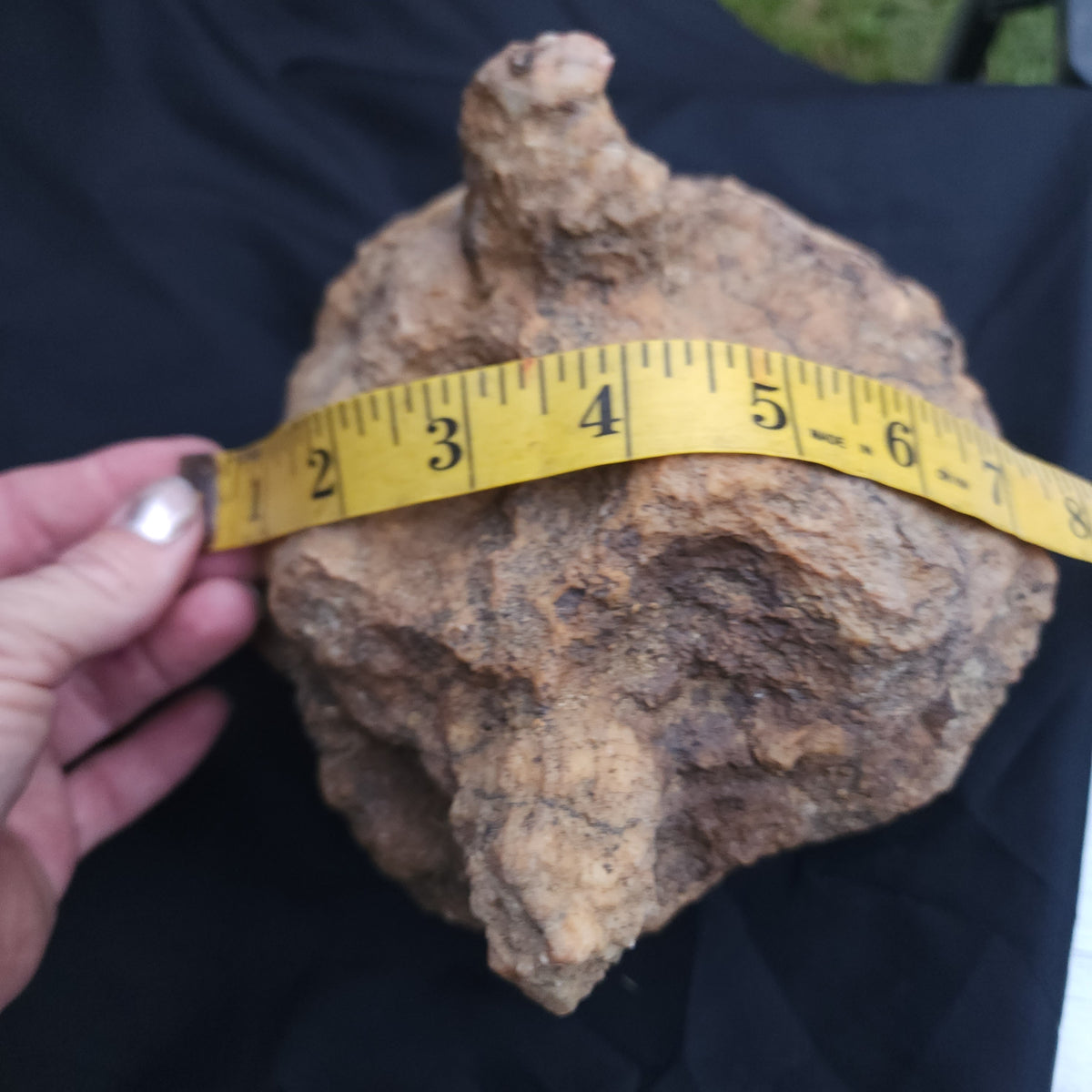 6.74 lb Kentucky Rattler Geode - Large Whole Unopened Hollow Crystals Rock