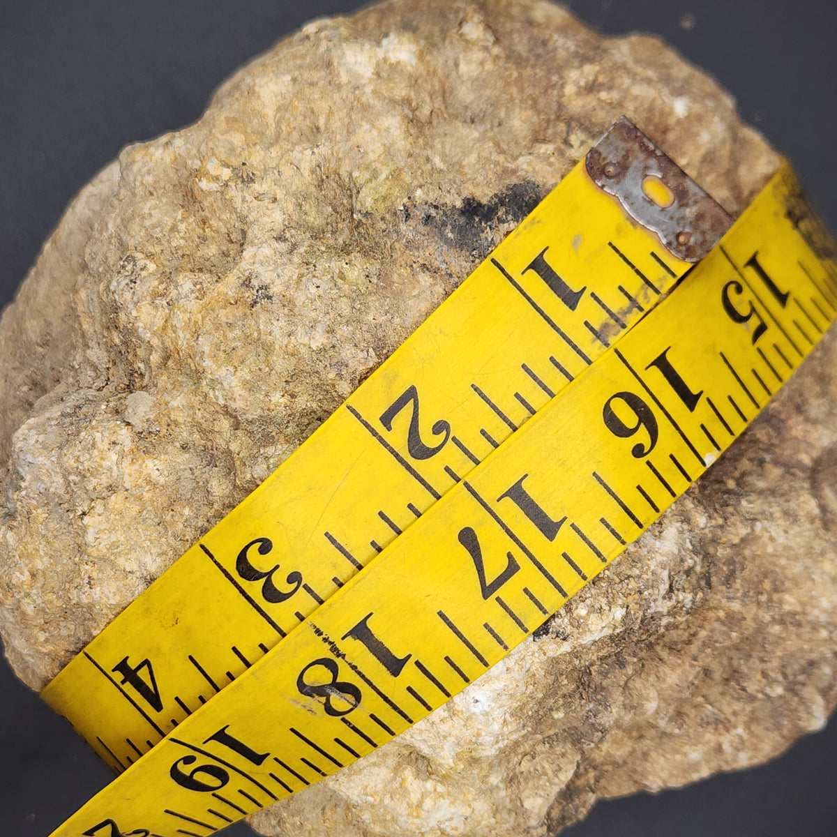 4.60 LB Whole Unopened Kentucky Geode [10-13-26-02]