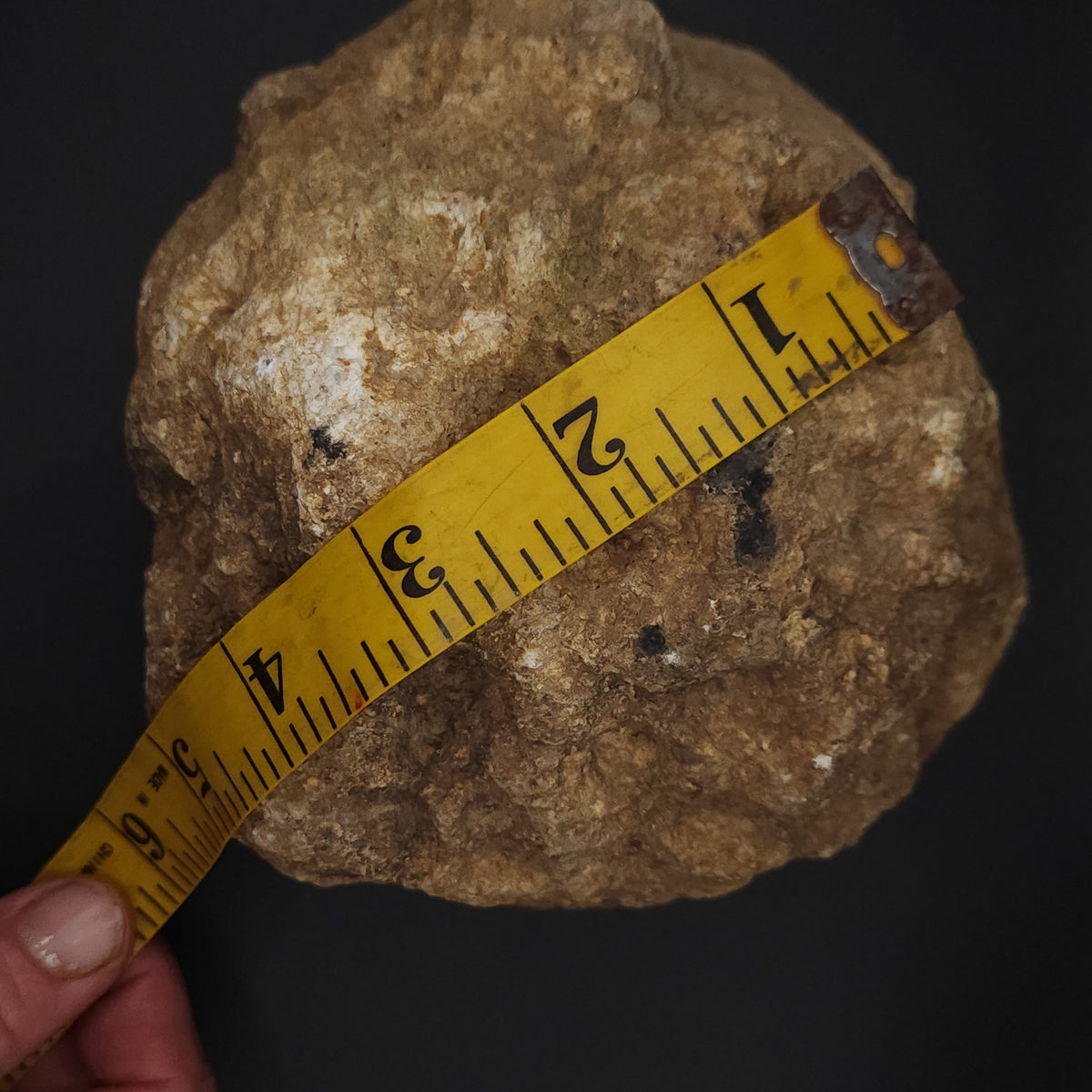 4.60 LB Whole Unopened Kentucky Geode [10-13-26-02]