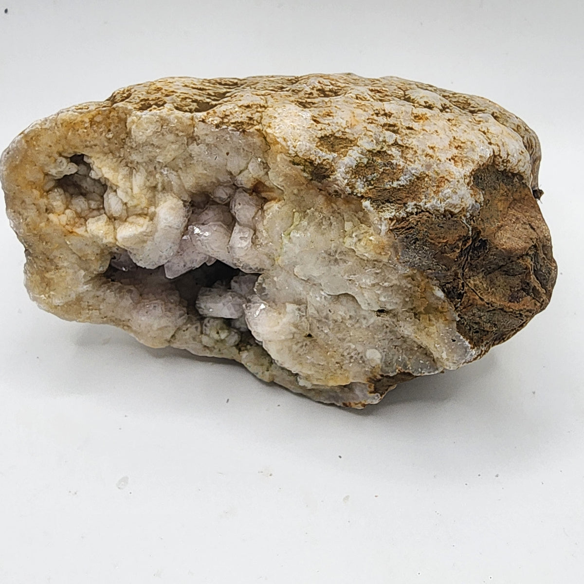 Natural Kentucky Quartz Geode Half - Smoky Crystal Points - Hand Collected