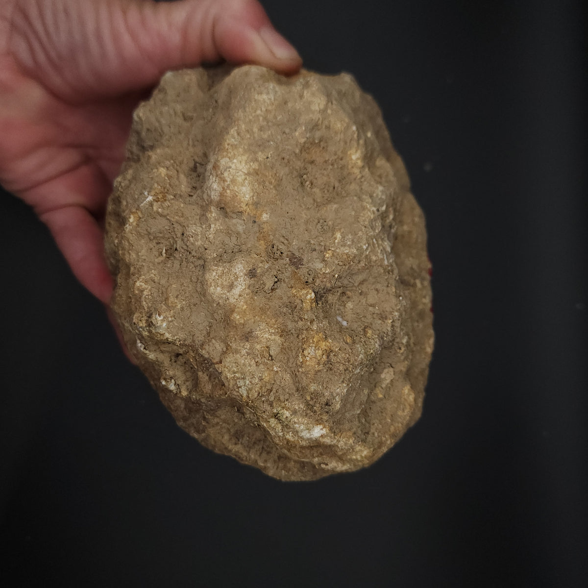 4.60 LB Whole Unopened Kentucky Geode [10-13-26-02]