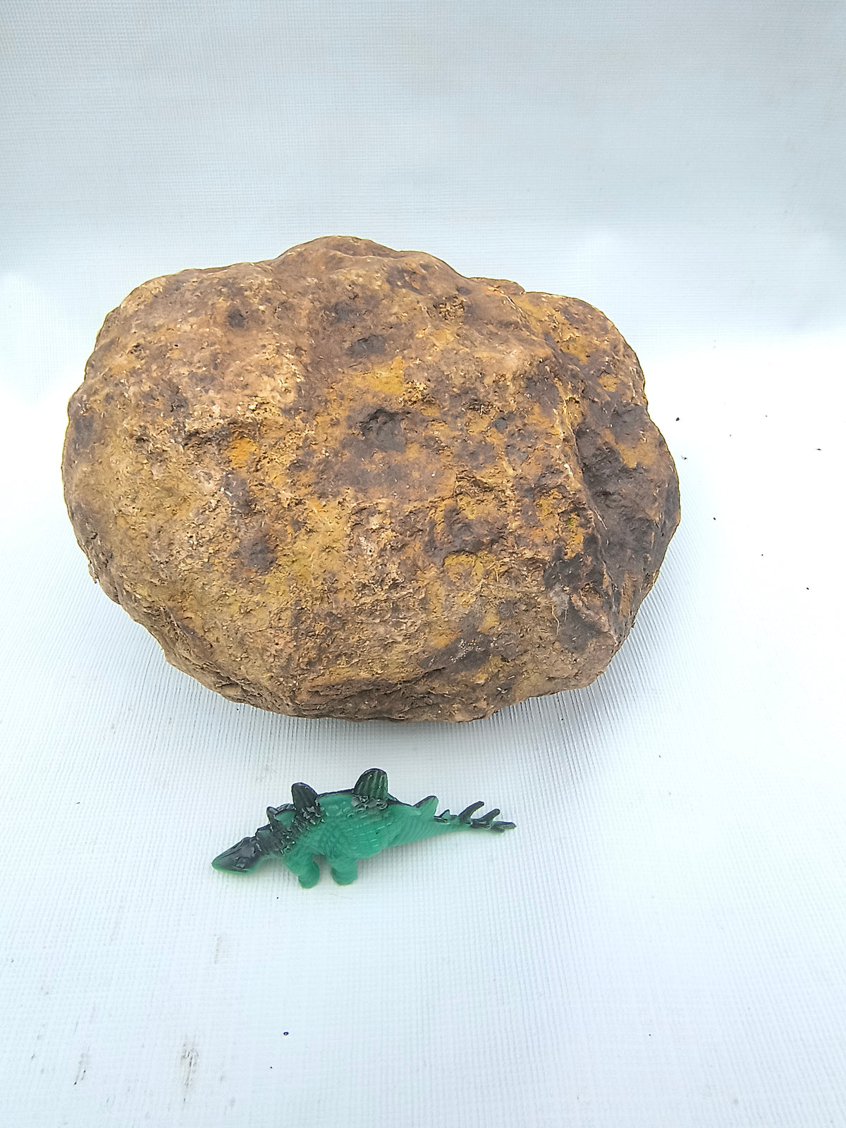 5.88 lb Unopened Kentucky Geode – Brown, Bonus Dinosaur Figure – Crack Your Own – Fishing Creek, KY