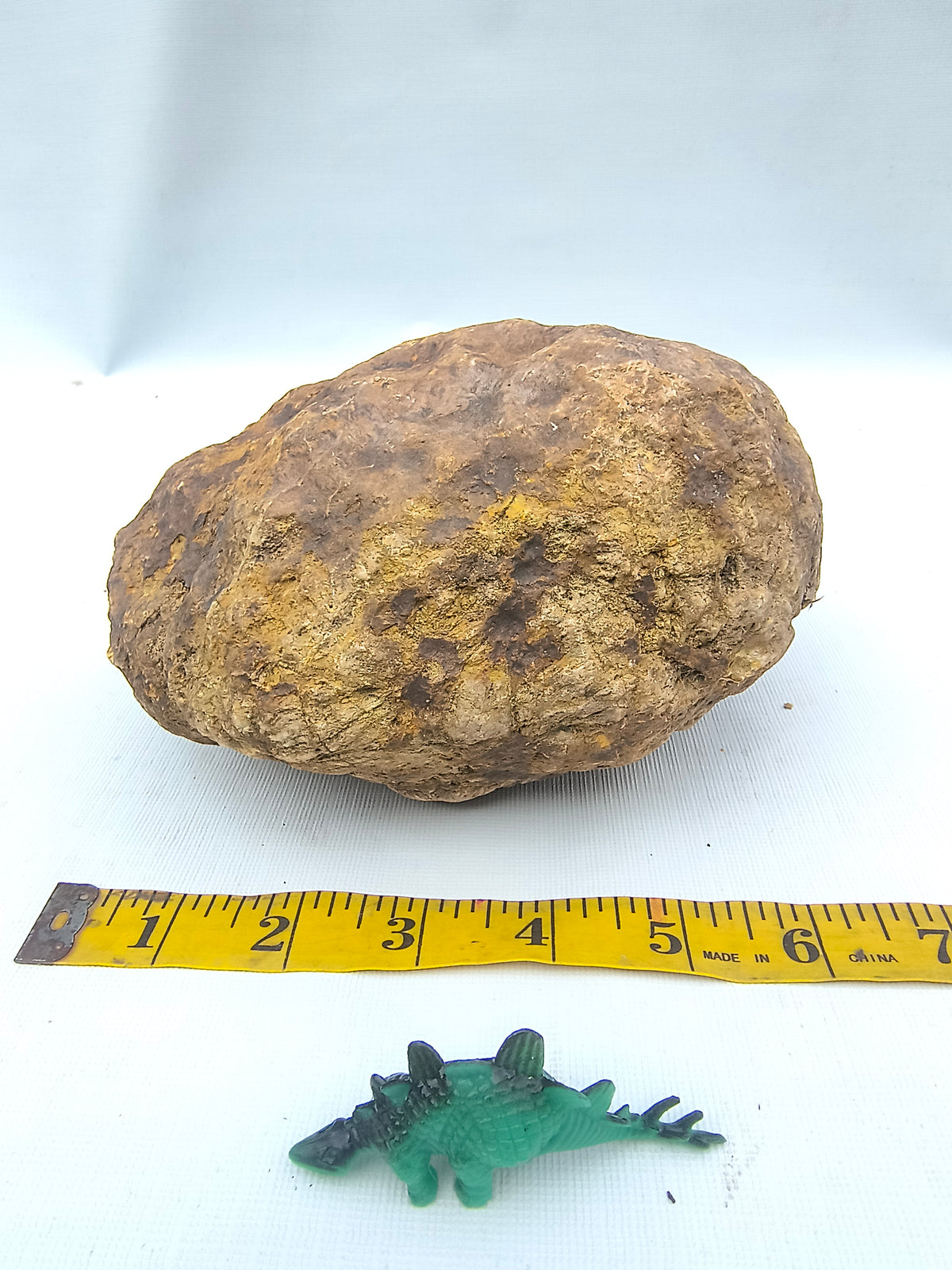 5.88 lb Unopened Kentucky Geode – Brown, Bonus Dinosaur Figure – Crack Your Own – Fishing Creek, KY