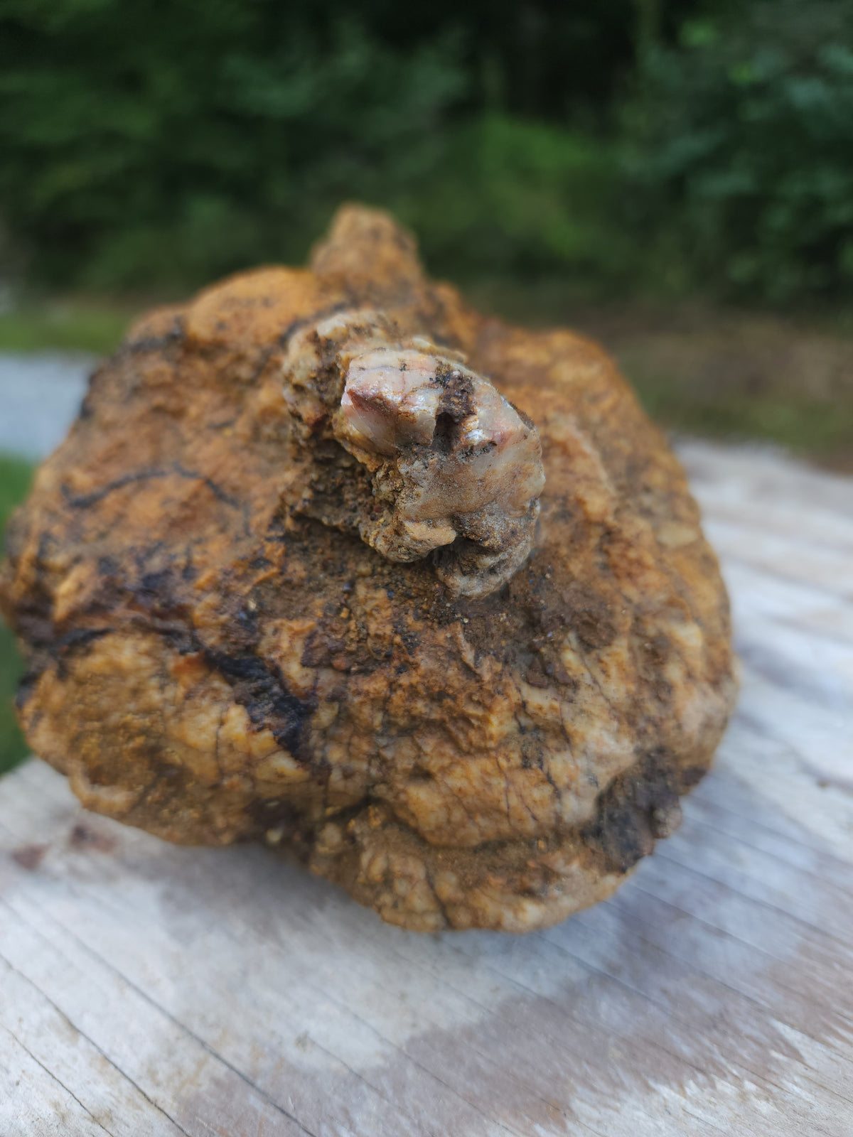 6.74 lb Kentucky Rattler Geode - Large Whole Unopened Hollow Crystals Rock