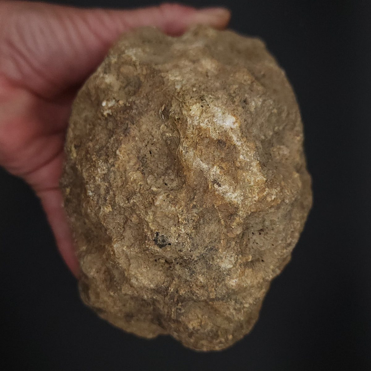 4.60 LB Whole Unopened Kentucky Geode [10-13-26-02]