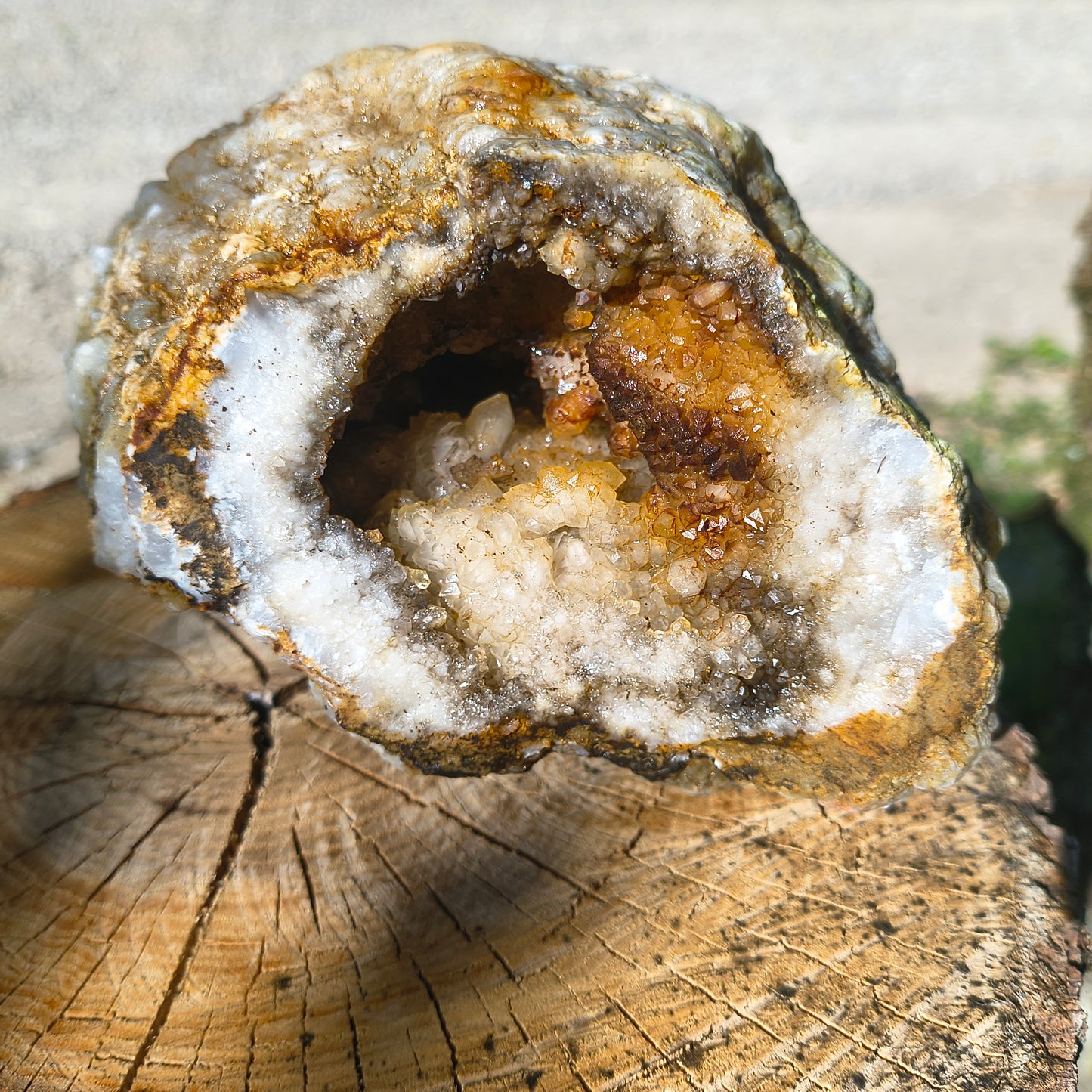 Timeless Secrets Kentucky Geode – Cracked Pair 6.32 lb