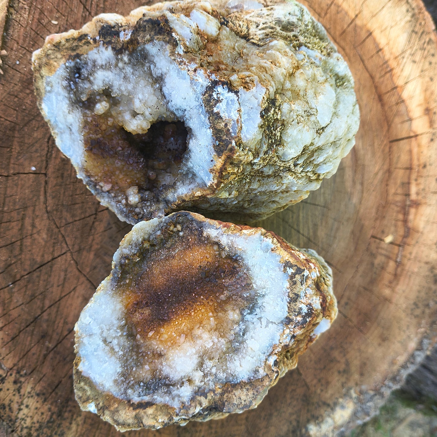 Timeless Secrets Kentucky Geode – Cracked Pair 6.32 lb