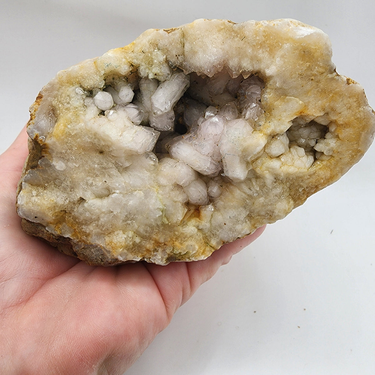 Natural Kentucky Quartz Geode Half - Smoky Crystal Points - Hand Collected