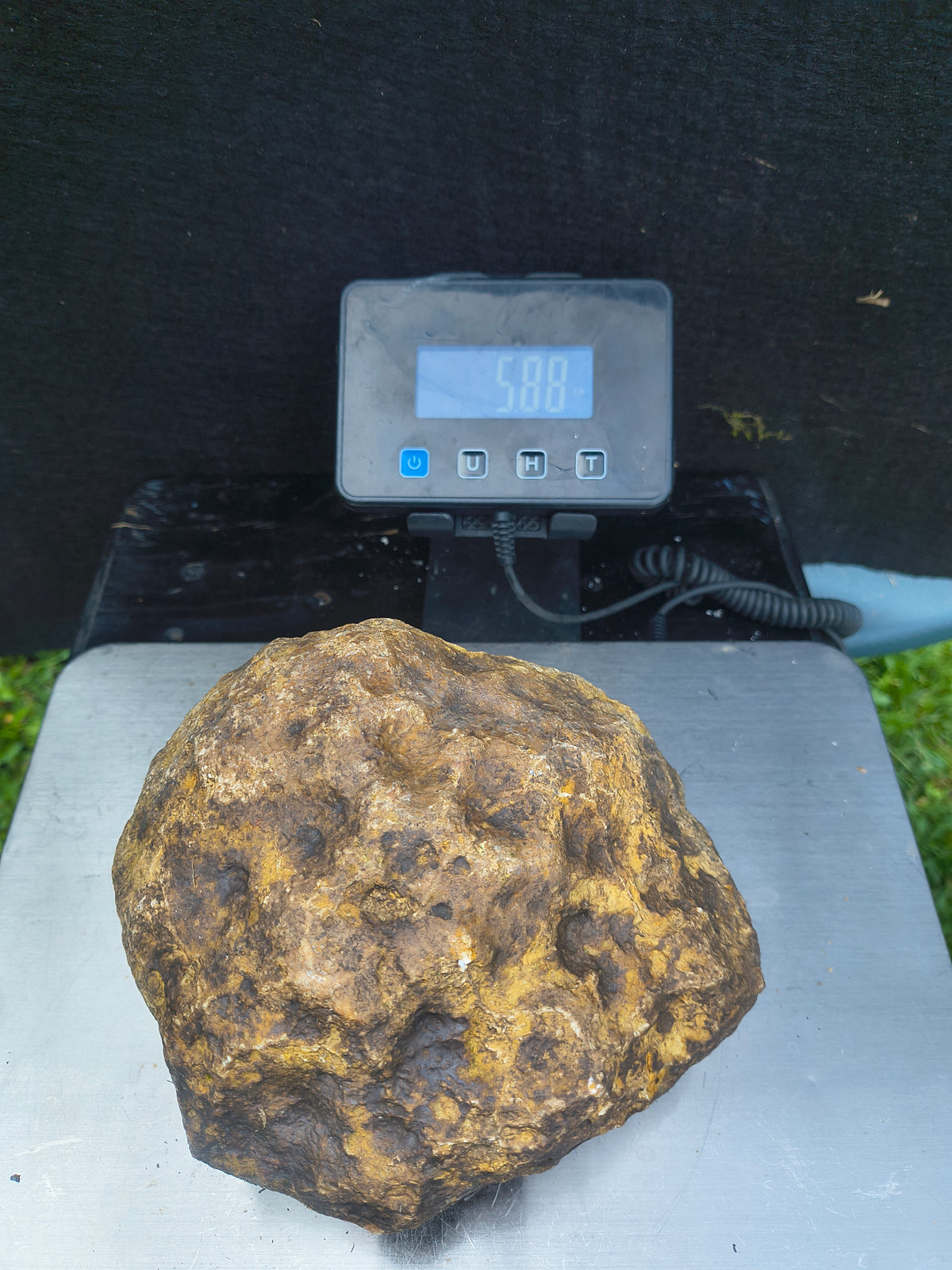 5.88 lb Unopened Kentucky Geode – Brown, Bonus Dinosaur Figure – Crack Your Own – Fishing Creek, KY