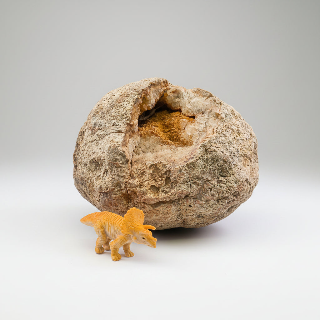 4.12 lb Kentucky Geode – Open Crystal Pocket with Orange Iron-Stained Druzy Quartz Center – Natural Creek Find – Large Display Specimen
