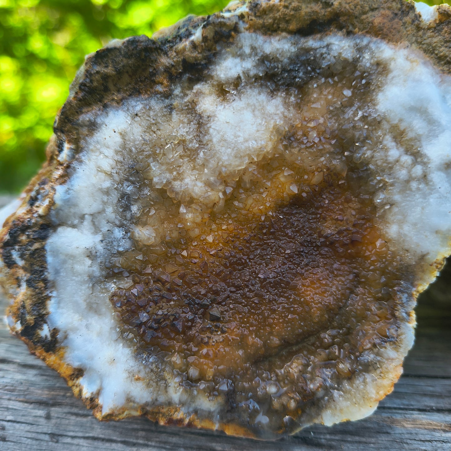 Timeless Secrets Kentucky Geode – Cracked Pair 6.32 lb