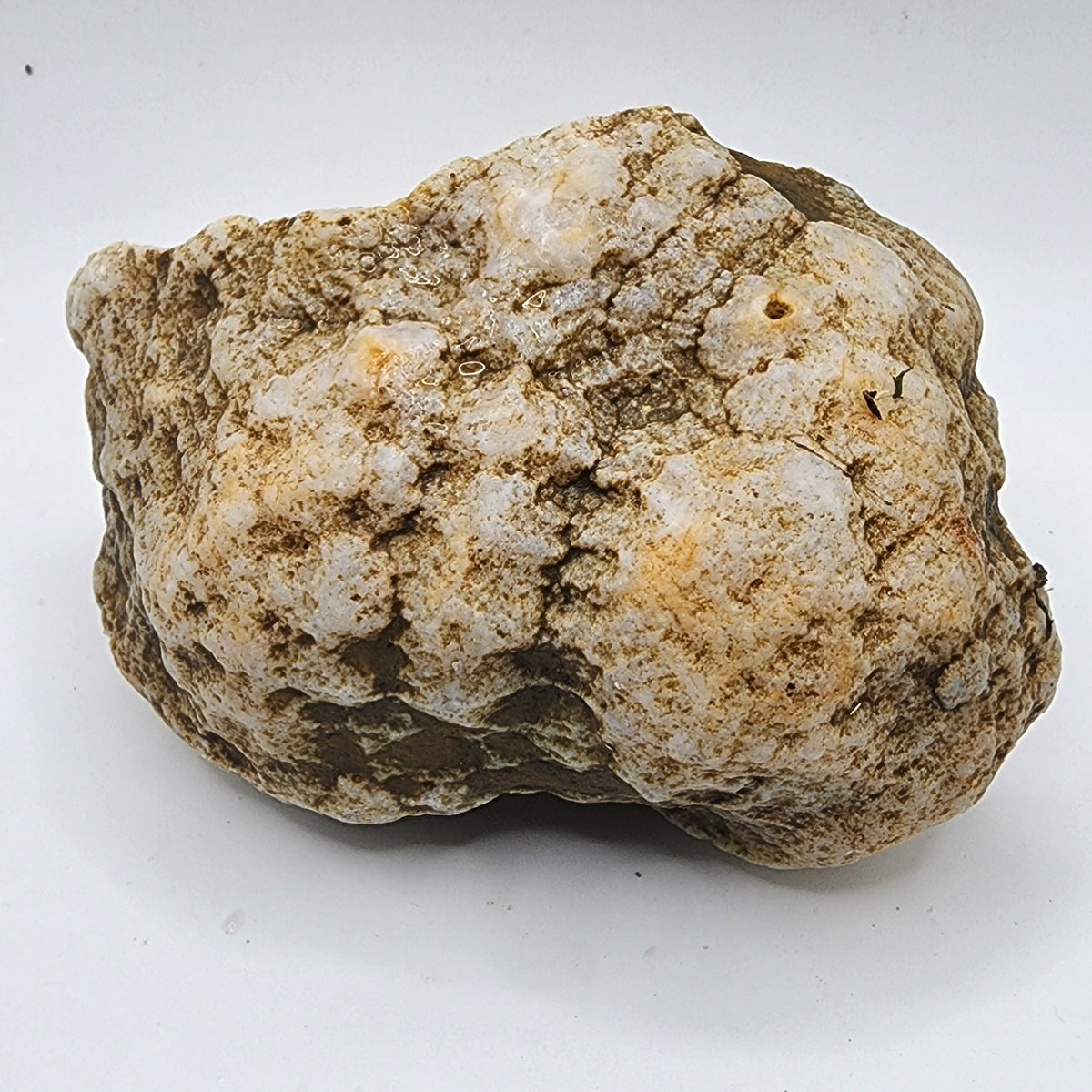 Natural Kentucky Quartz Geode Half - Smoky Crystal Points - Hand Collected