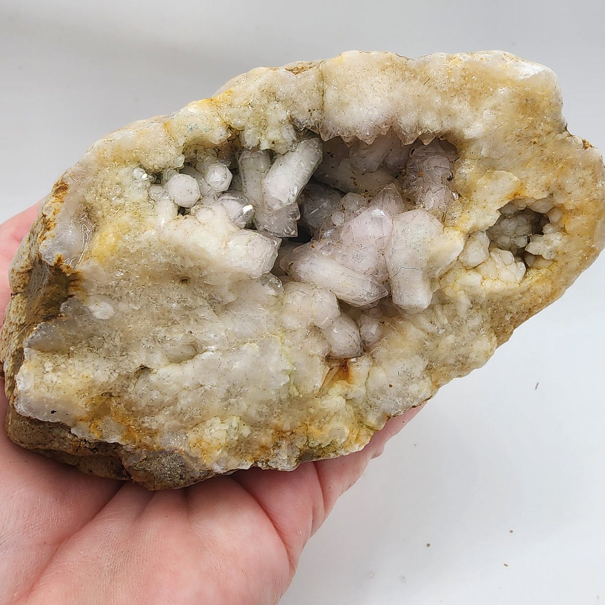 Natural Kentucky Quartz Geode Half - Smoky Crystal Points - Hand Collected