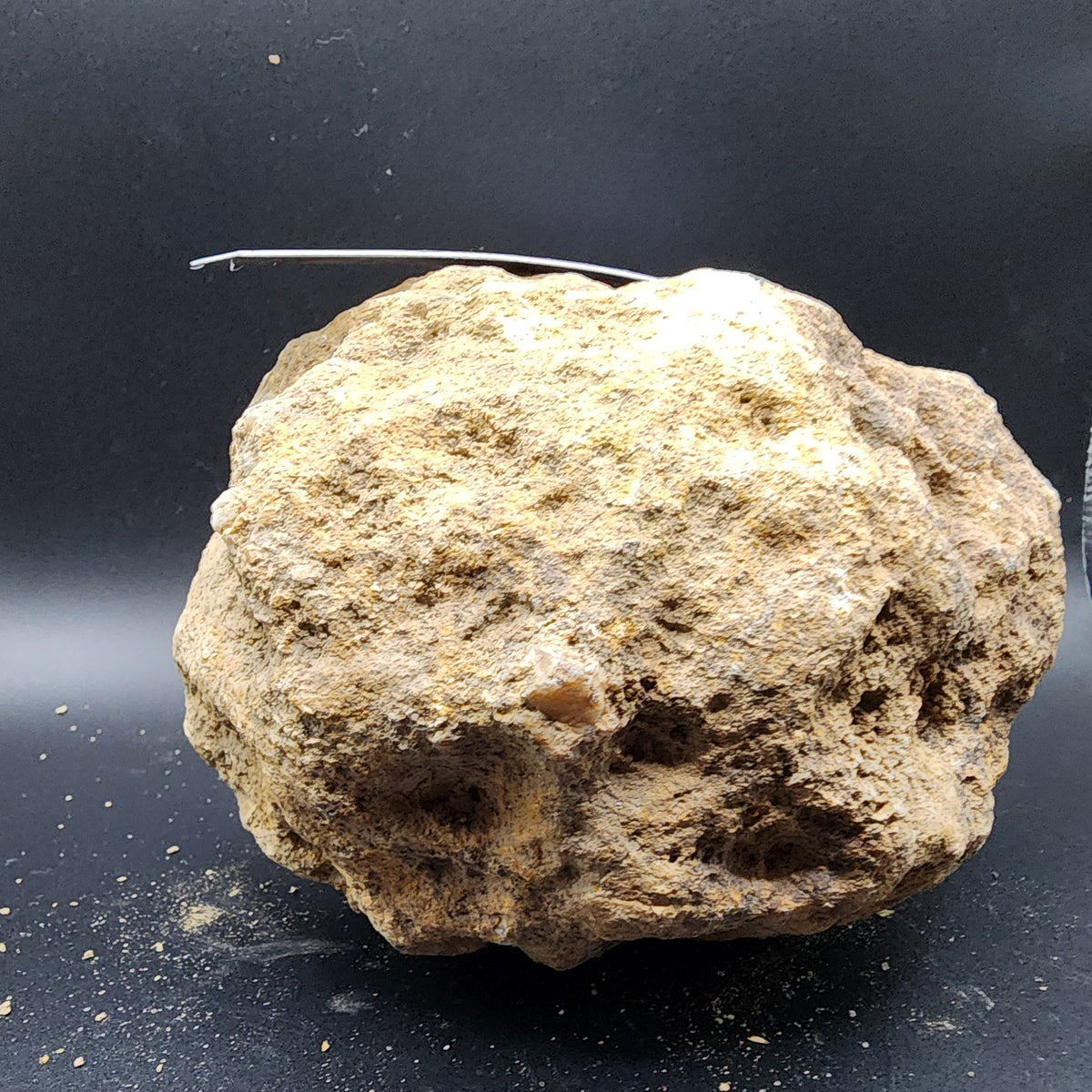 4.60 LB Whole Unopened Kentucky Geode [10-13-26-02]