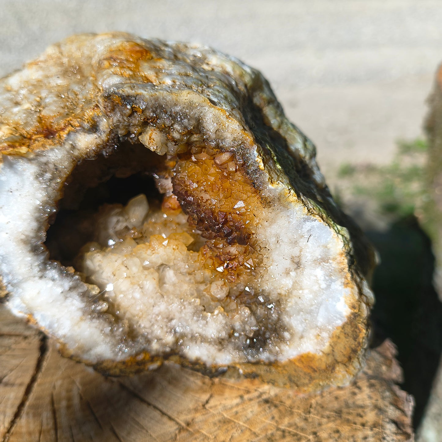 Timeless Secrets Kentucky Geode – Cracked Pair 6.32 lb
