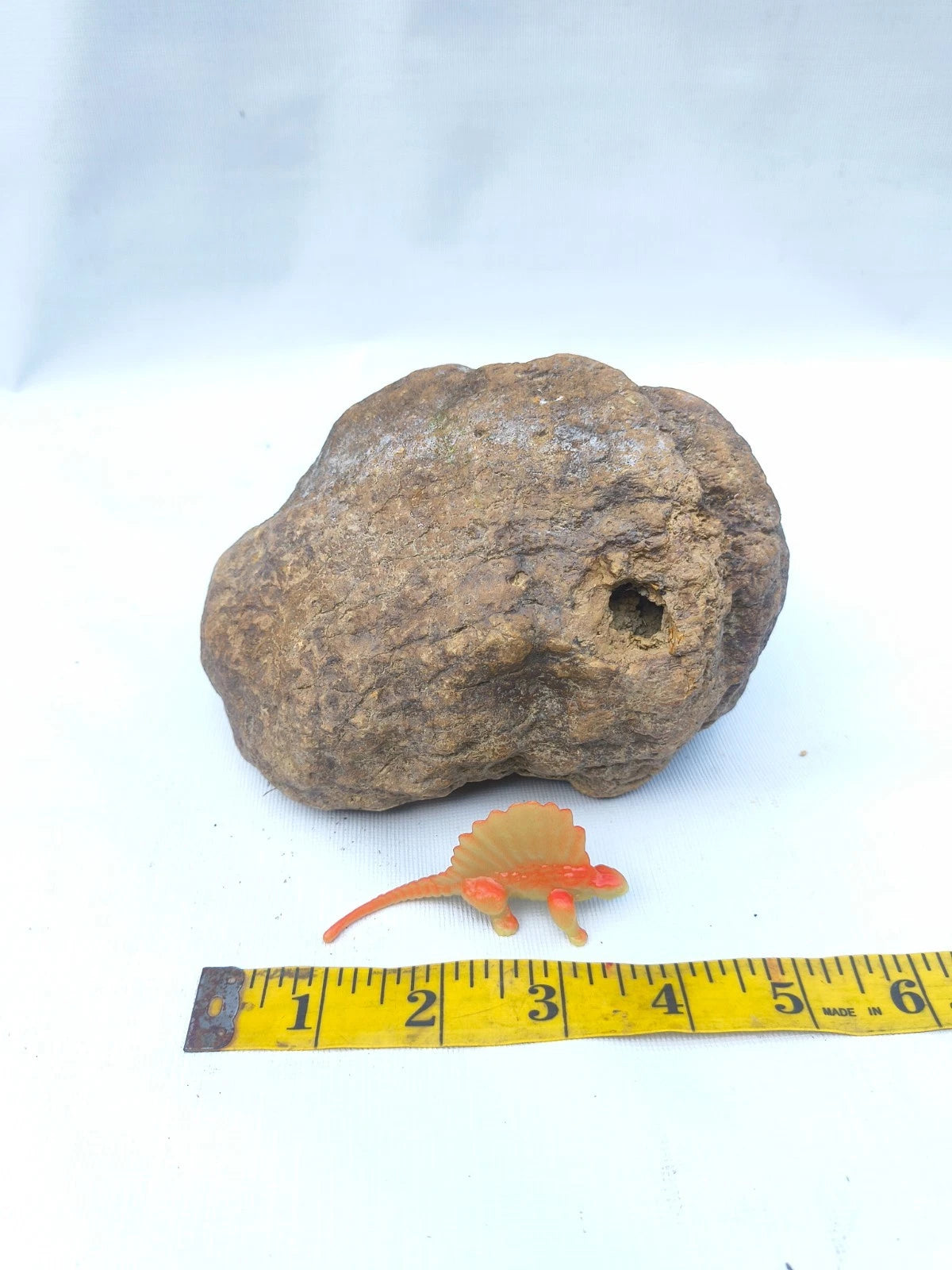 4.44 lb Kentucky geode - photo 3