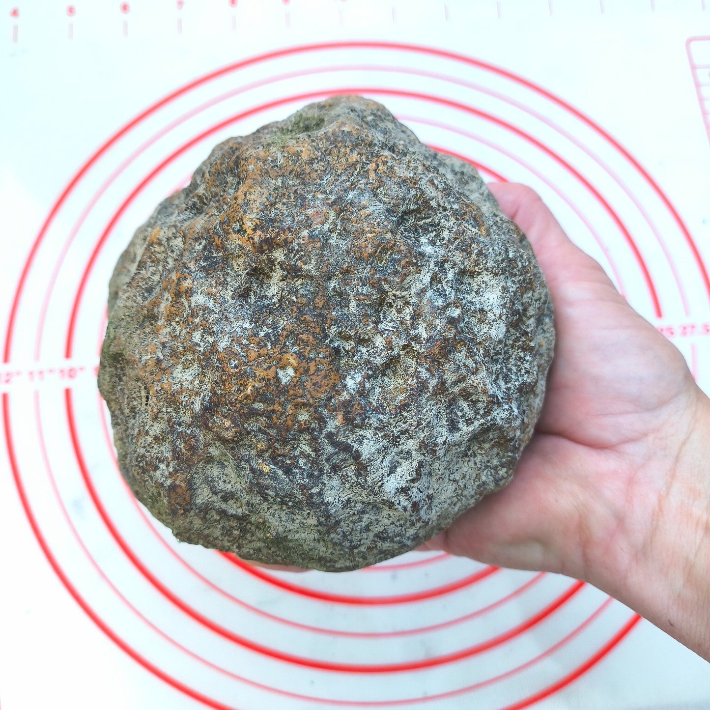 Kentucky Geode, Unopened Natural Quartz Crystal, Crack Your Own, 4lb – Fishing Creek, KY