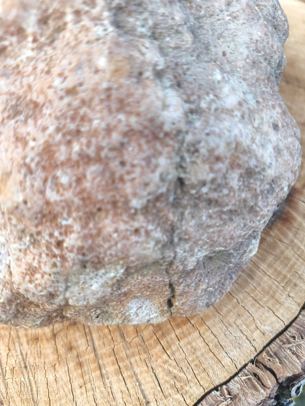 Exact Kentucky Rattler Geode, 4.09 lb Natural Unopened Crystal Geode – Fishing Creek, KY