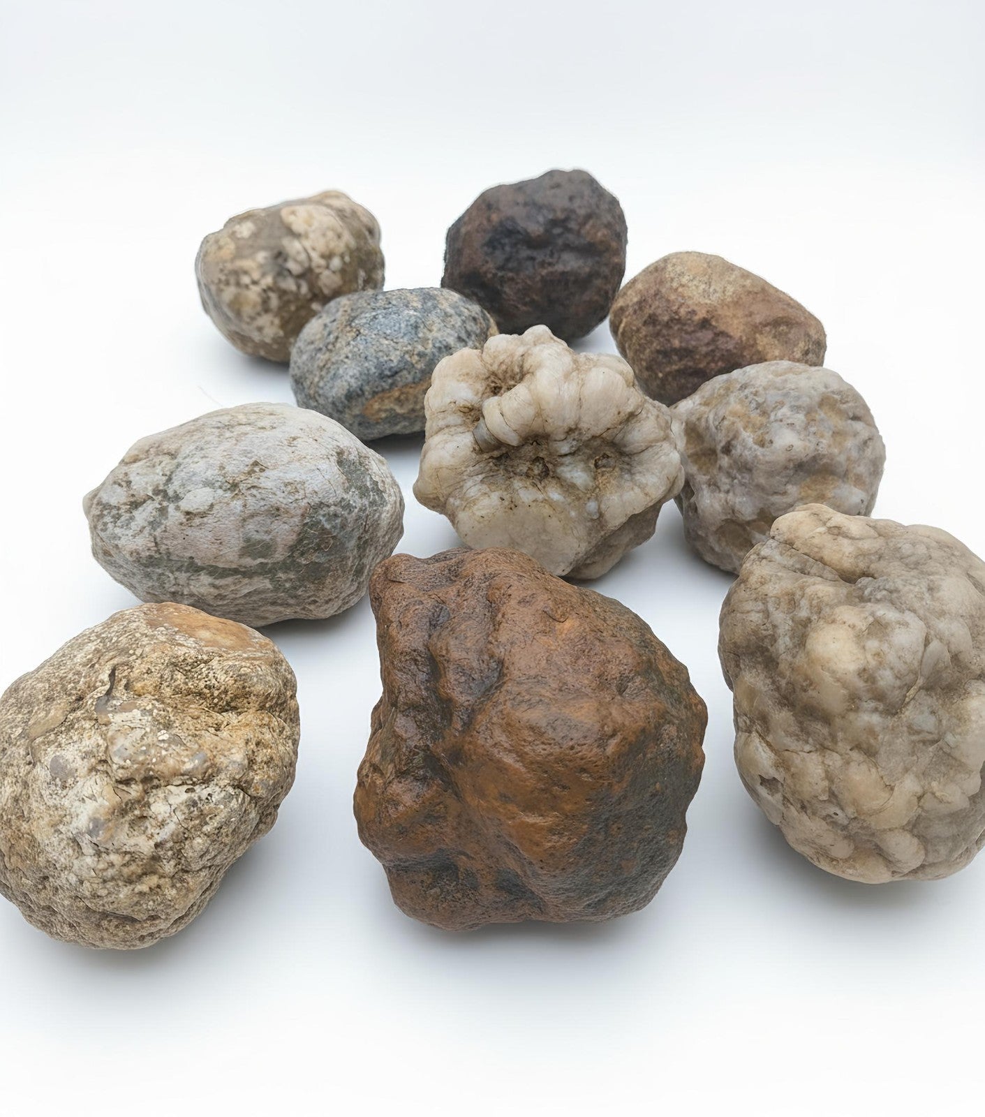 3 lb Unopened Kentucky Geode Lot, Break Your Own, Hand Picked KY Natural Crystals – Fishing Creek, KY