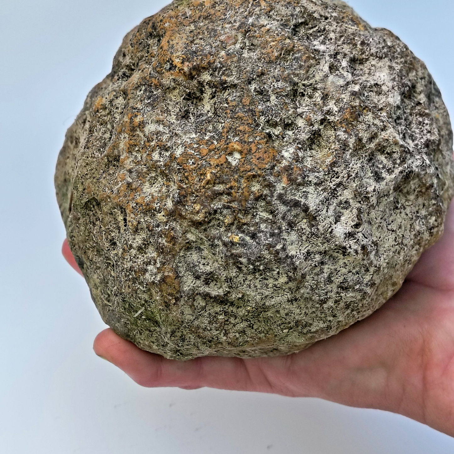 Kentucky Geode, Unopened Natural Quartz Crystal, Crack Your Own, 4lb – Fishing Creek, KY
