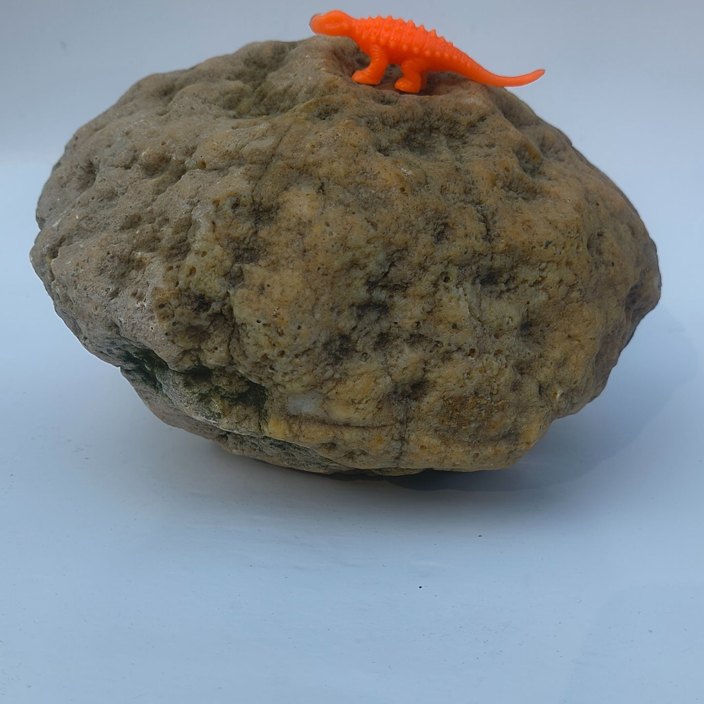 9.25 lb Unopened Large Geode Nodule, Natural Kentucky Crystal Quartz, Uncut – Fishing Creek, KY