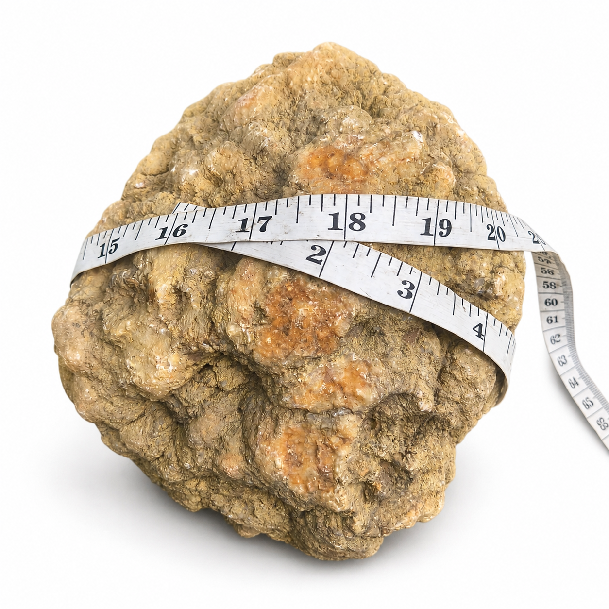 Kentucky Geode, 6.01 lb Whole Unopened Natural Quartz Crystal Rock, 6 Inch – Fishing Creek, KY