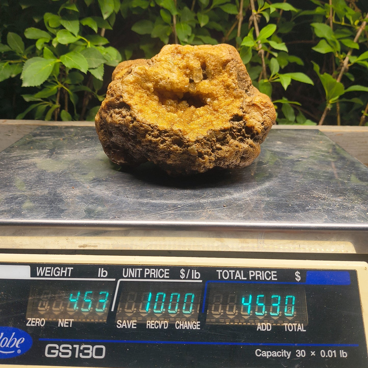Kentucky Crystal Geode, Natural Druzy Quartz Geode, 4.53 lb Educational Specimen – Fishing Creek, KY