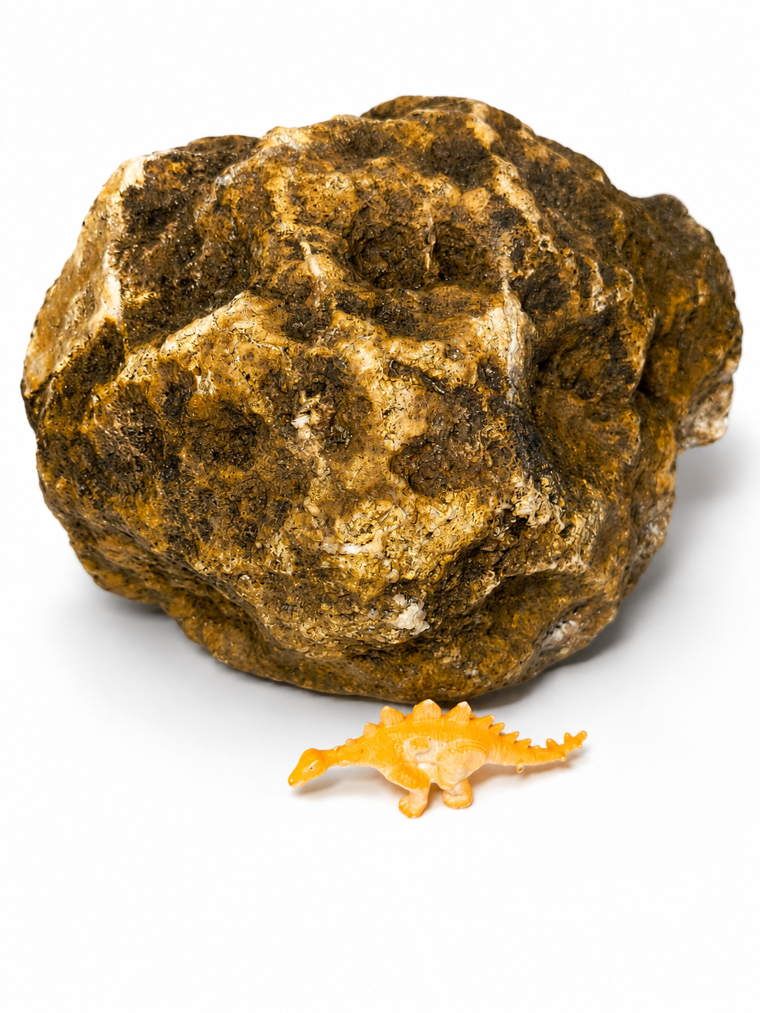 5 lb 3 oz Open KY Geode, Golden Crystal Cavity, Large Display Specimen, Collectible – Fishing Creek, KY