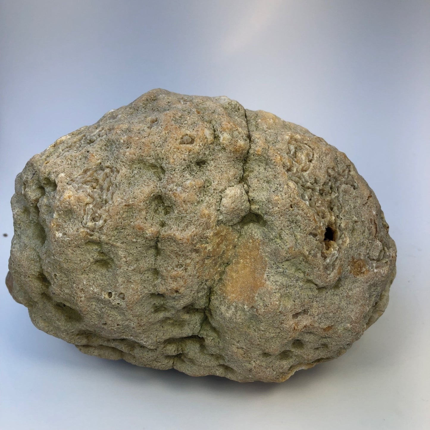 7.04 lb Natural Kentucky Geode, Whole Crystal Lined Open Pocket Display Specimen – Fishing Creek, KY