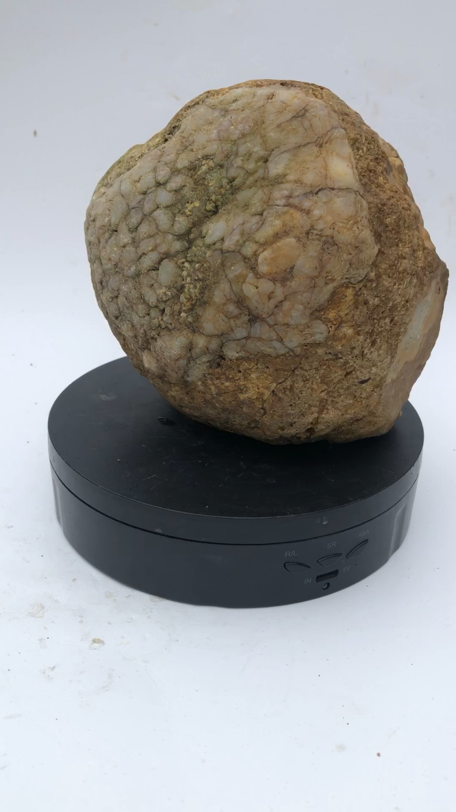 4 lb Unopened Kentucky Geode Rattler, Break Your Own, Hand Picked Natural Quartz – Fishing Creek, KY
