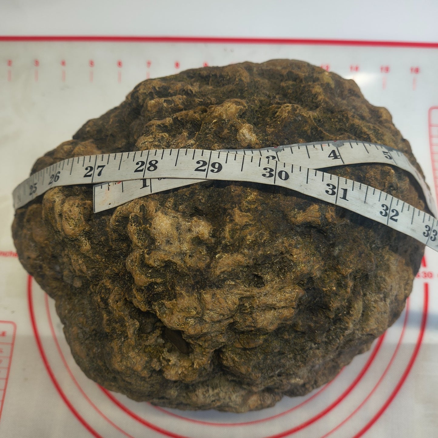 20.6 lb Unopened Kentucky Geode, Break Your Own Large Quartz Crystal, Hand Picked – Fishing Creek, KY