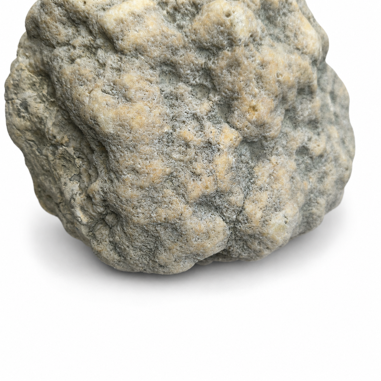 Kentucky Geode, Unopened Natural Quartz Crystal, Crack Your Own, 11.71 lb – Fishing Creek, KY