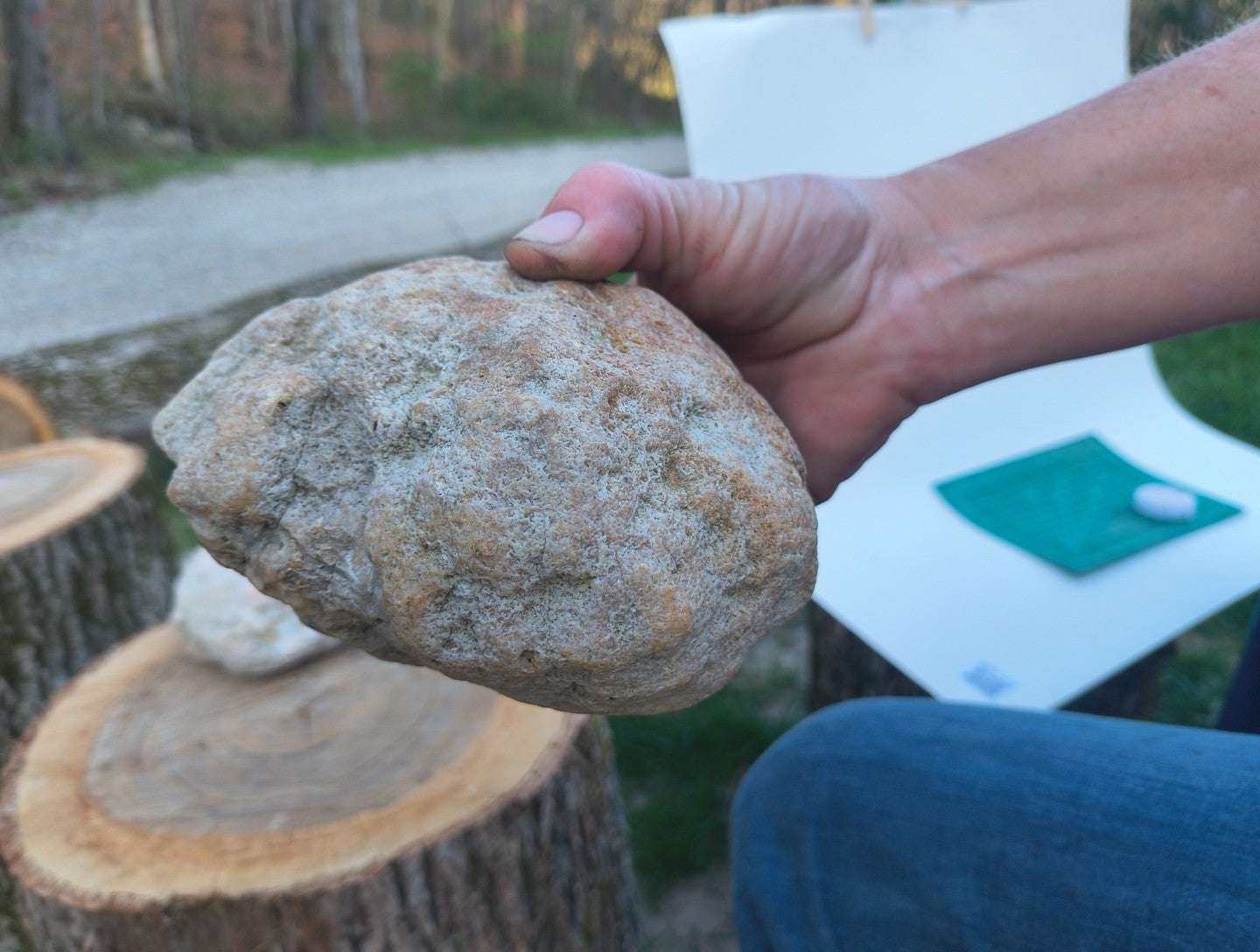 Exact Kentucky Rattler Geode, 4.09 lb Natural Unopened Crystal Geode – Fishing Creek, KY