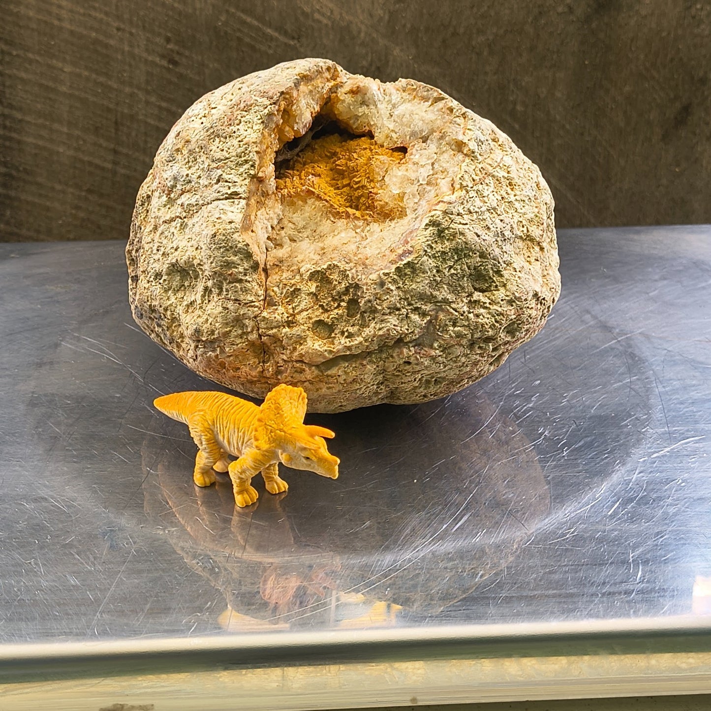 Kentucky Geode Crystal Opening, Natural Rock Specimen, Real Kentucky Geode – Fishing Creek, KY