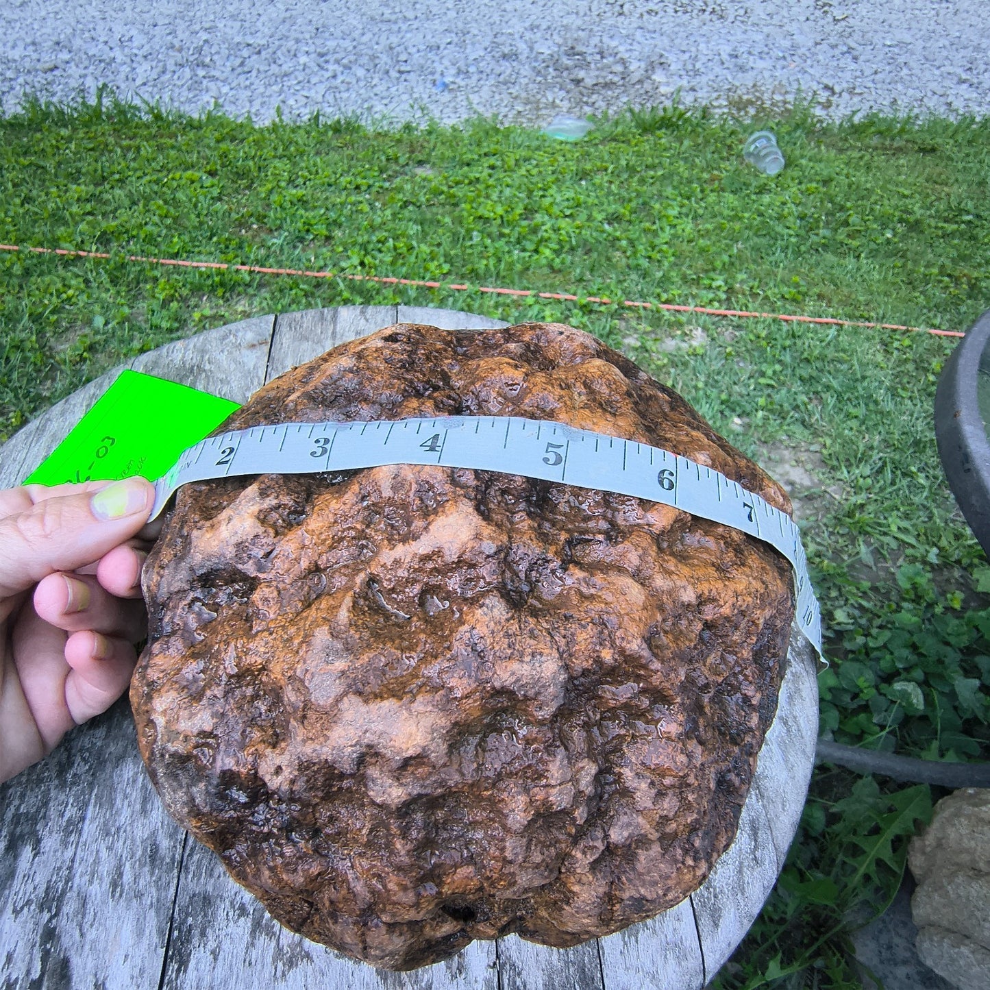 10.07 lb Kentucky Geode, Unopened, Natural Crystal Geode + Bonus – Hand-Collected at Fishing Creek, KY