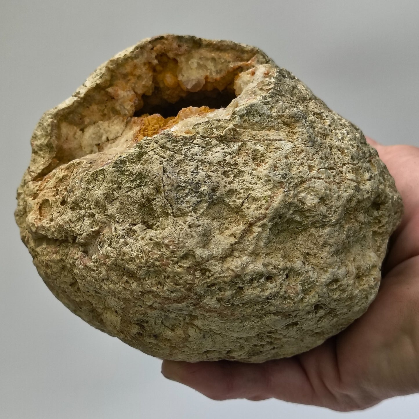 Kentucky Geode Crystal Opening, Natural Rock Specimen, Real Kentucky Geode – Fishing Creek, KY
