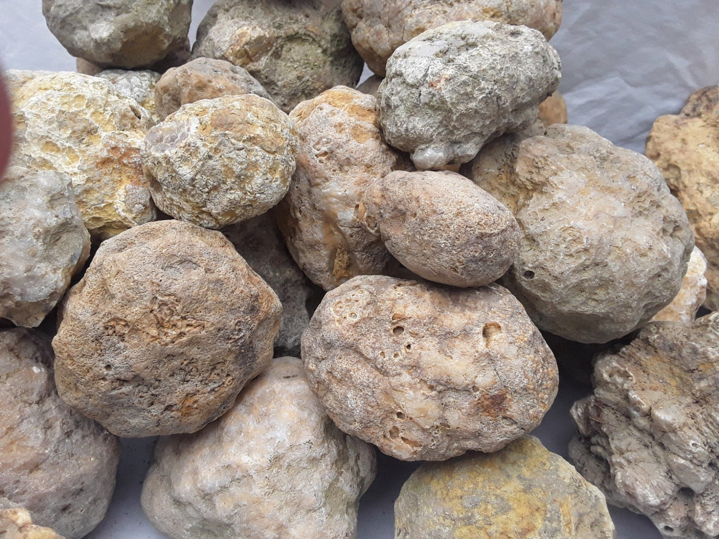 10 lb Lot Unopened Kentucky Geodes, Break Your Own, Hand Picked KY Natural Quartz – Fishing Creek, KY
