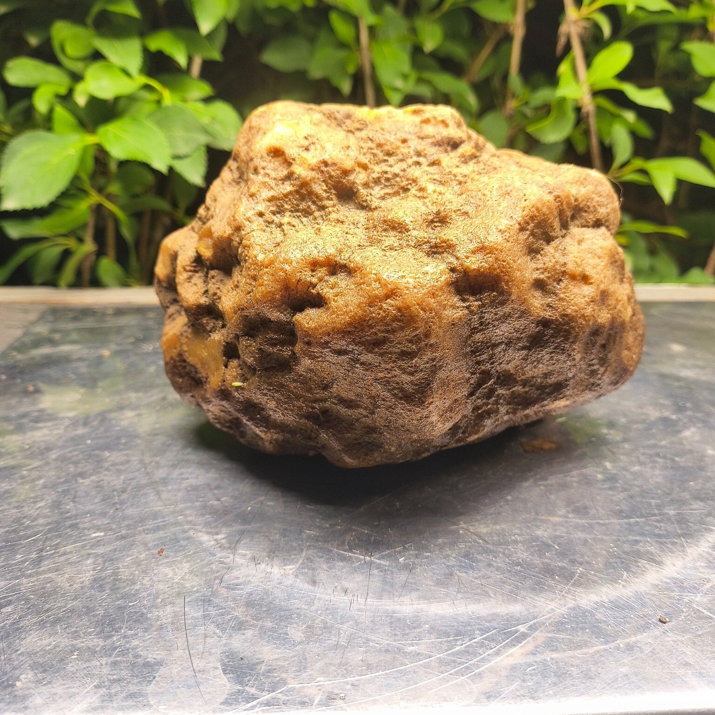 Kentucky Crystal Geode, Natural Druzy Quartz Geode, 4.53 lb Educational Specimen – Fishing Creek, KY