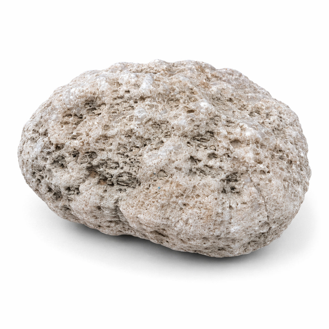 Kentucky Botryoidal Chalcedony Agate Geode, 3.11 lb, Natural Opening, Exact – Fishing Creek, KY