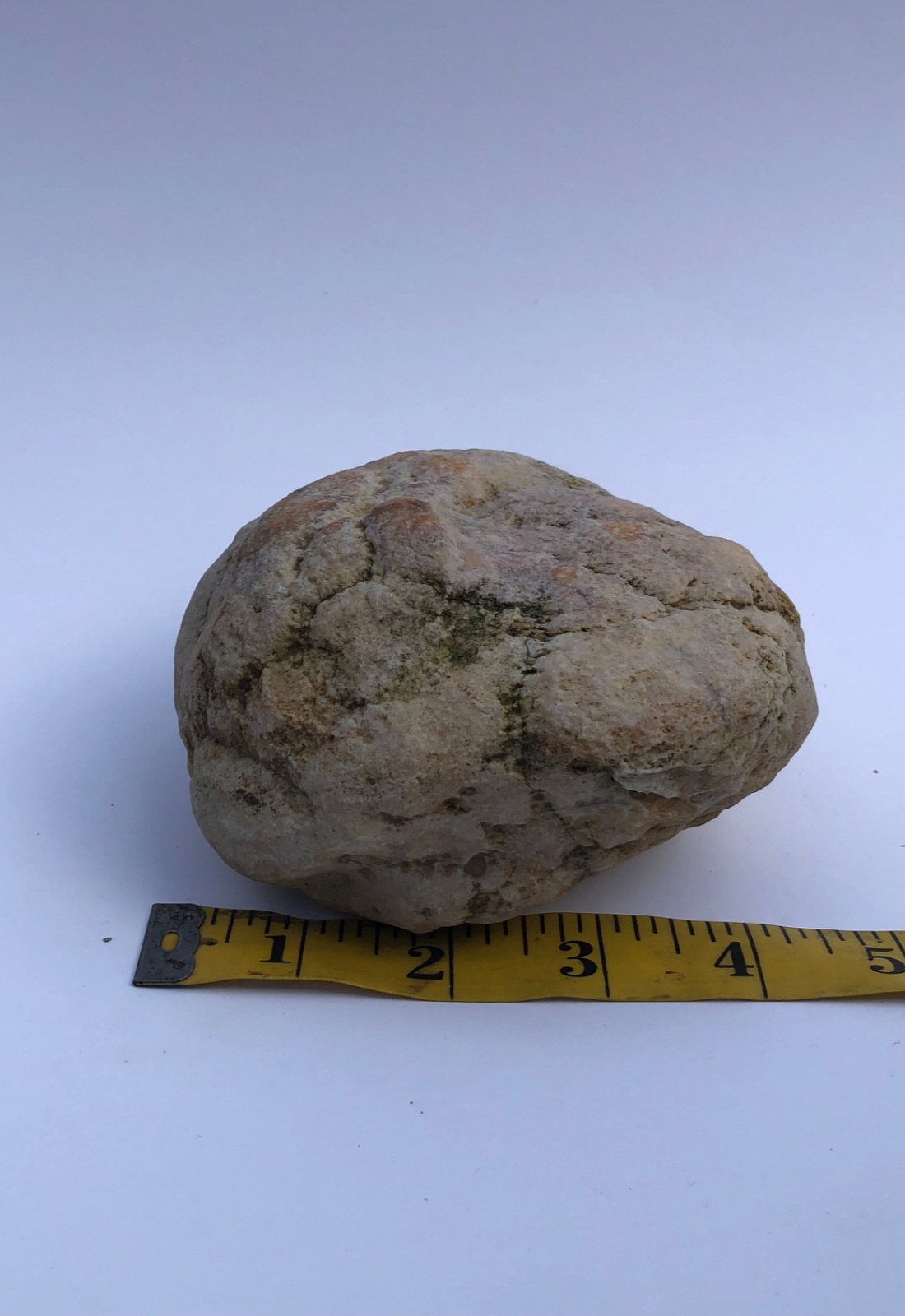 1.28 lb Kentucky Geode Hollow Nodule, Unopened, Natural Quartz Crystal Rock – Hand-Collected at Fishing Creek, KY