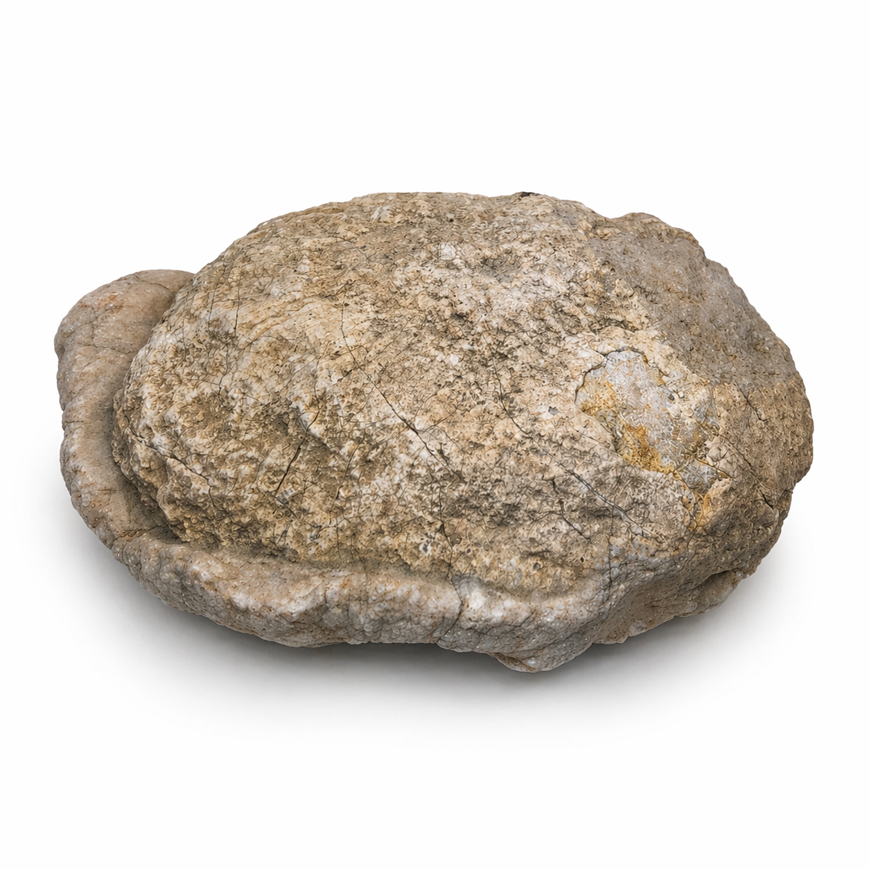 4.12 lb Kentucky Rattler Geode, Whole Unopened Exact Item, Natural Uncut – Fishing Creek, KY