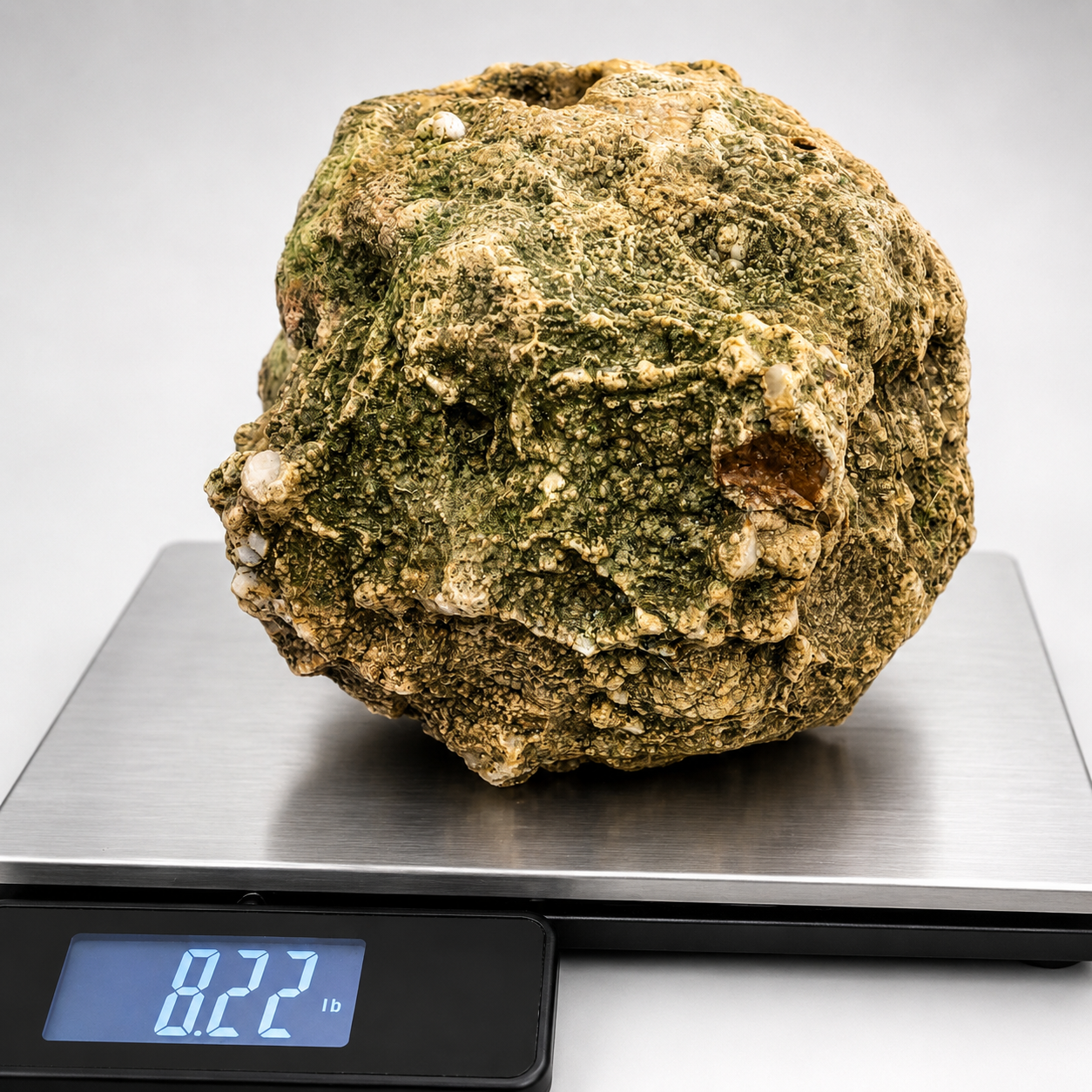 8.22 lb Unopened Kentucky Geode Rattler, Break Your Own, Hand Picked KY, 7 Inch – Fishing Creek, KY