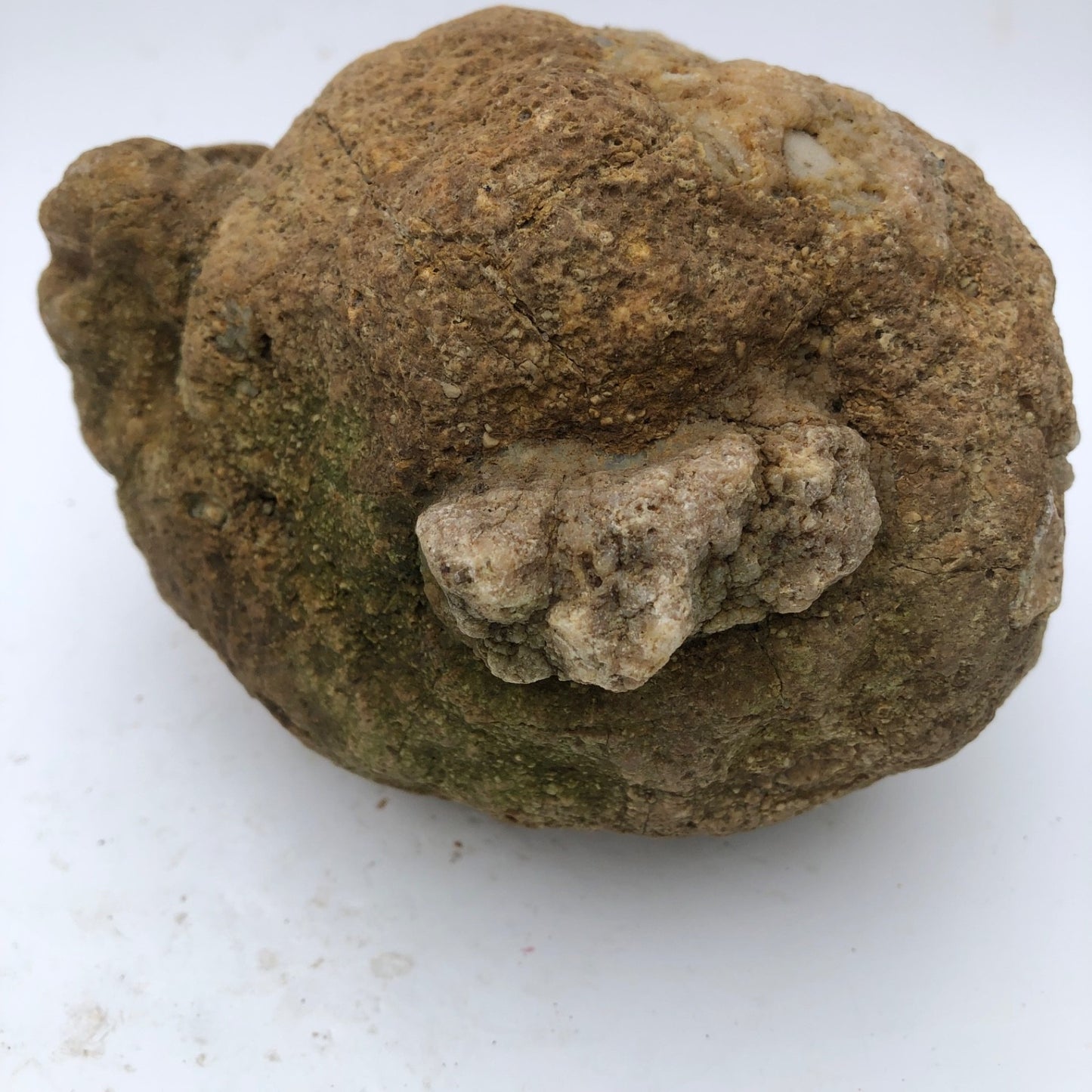 4 lb Unopened Kentucky Geode Rattler, Break Your Own, Hand Picked Natural Quartz – Fishing Creek, KY