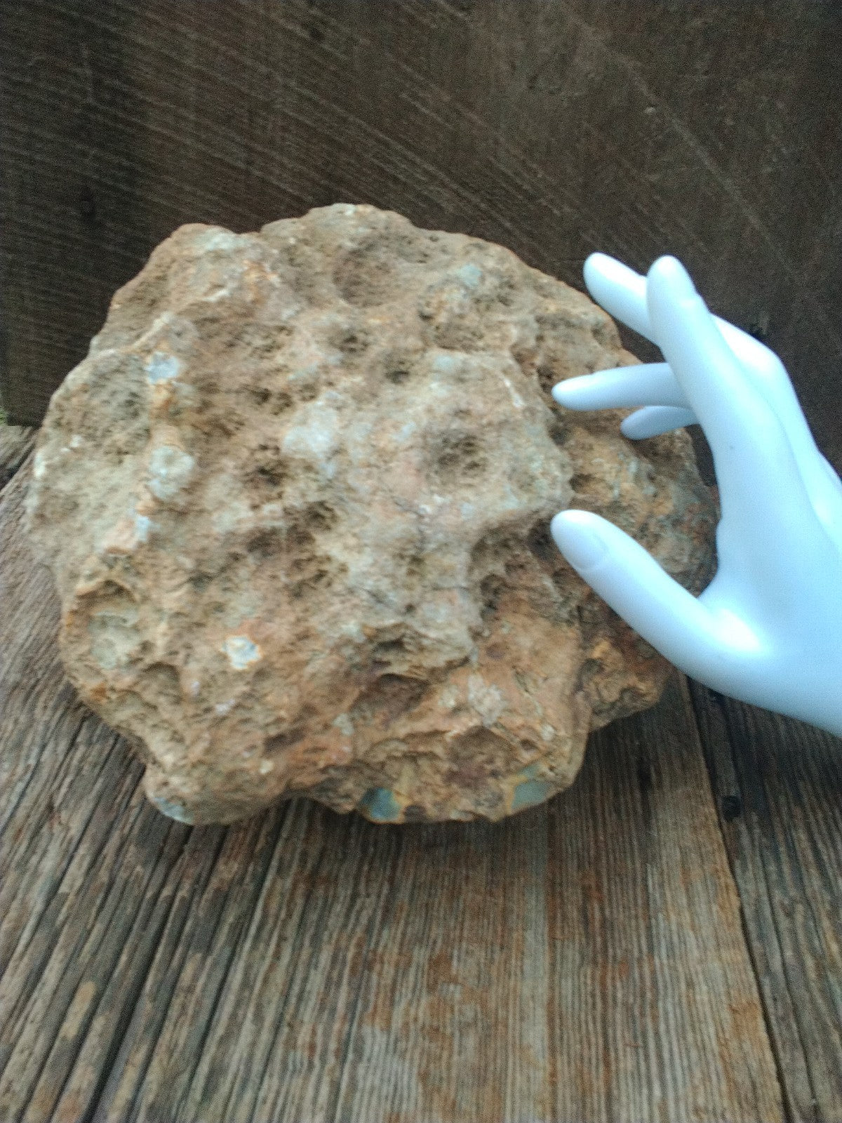 Exact Kentucky Geode, 13+ lb Unopened Natural Quartz Crystal, Crack Your Own – Fishing Creek, KY
