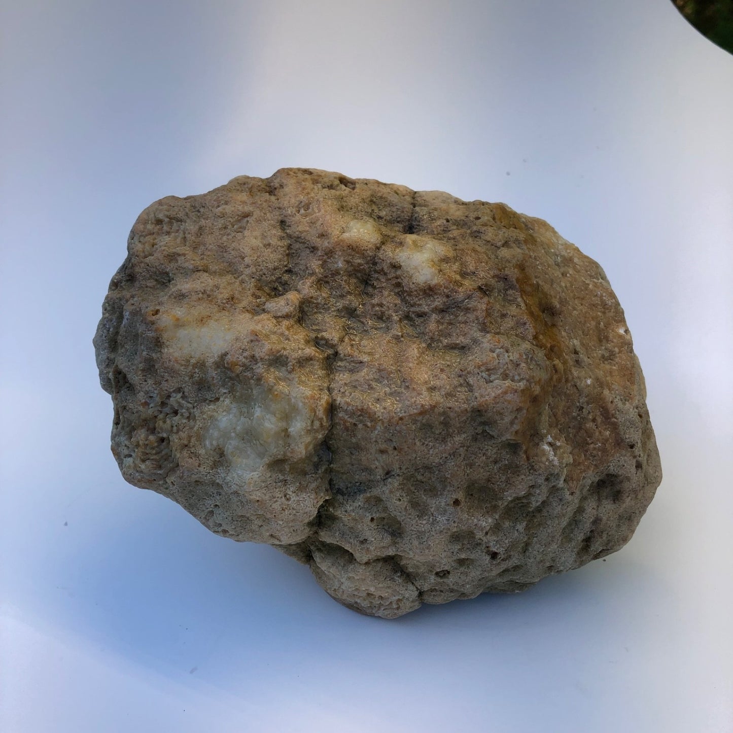 7.04 lb Natural Kentucky Geode, Whole Crystal Lined Open Pocket Display Specimen – Fishing Creek, KY